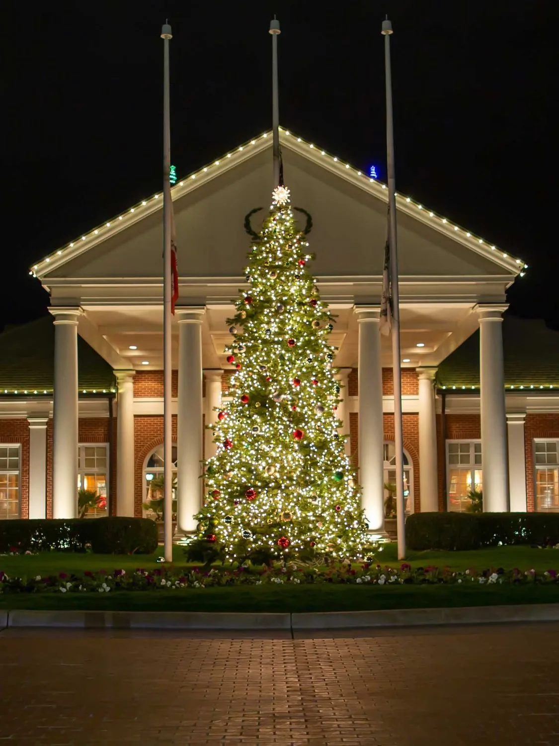 Commercial holiday lighting on a storefront