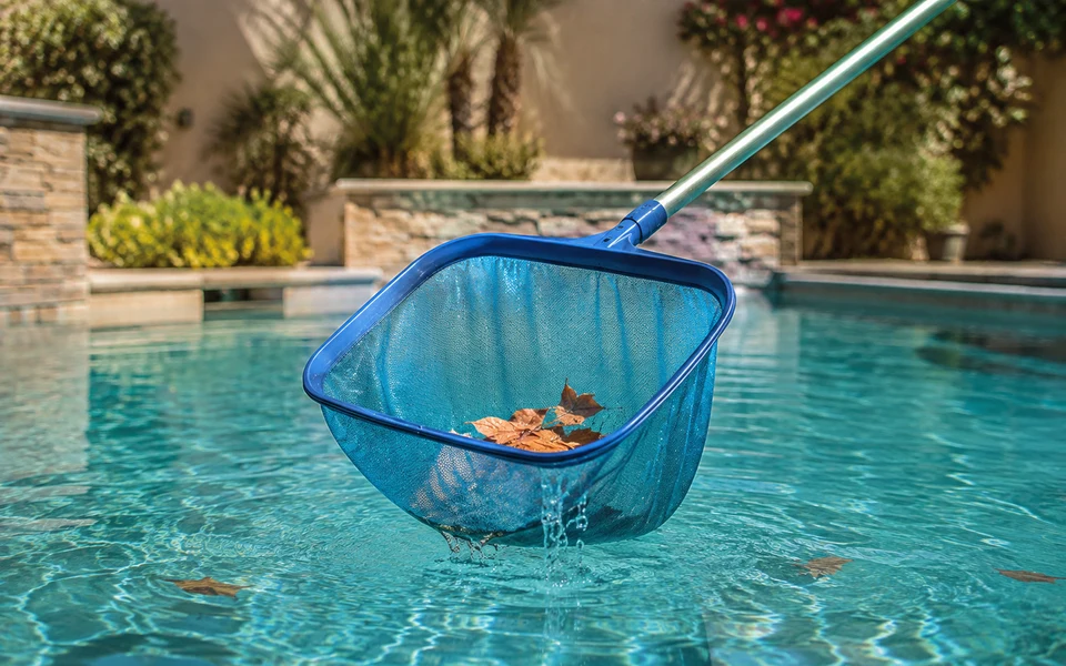 Skimmer net lifting leaves from clear pool water
