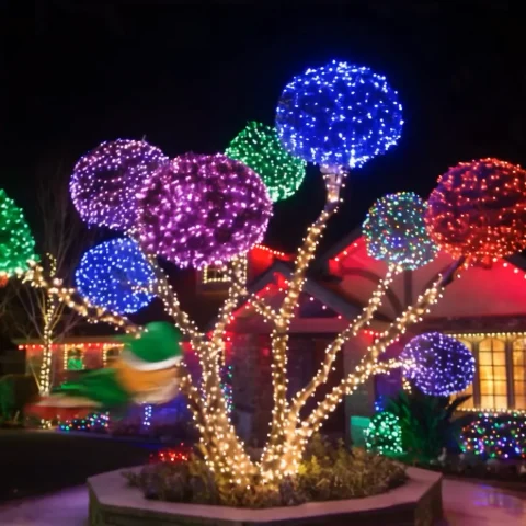 Full color family: Color Takes Root