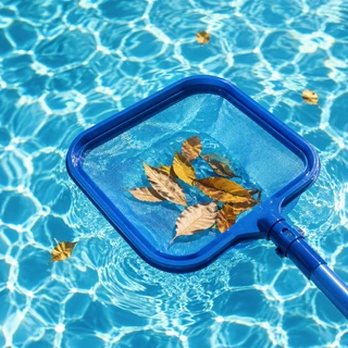 Pool skimmer lifting leaves from clear water